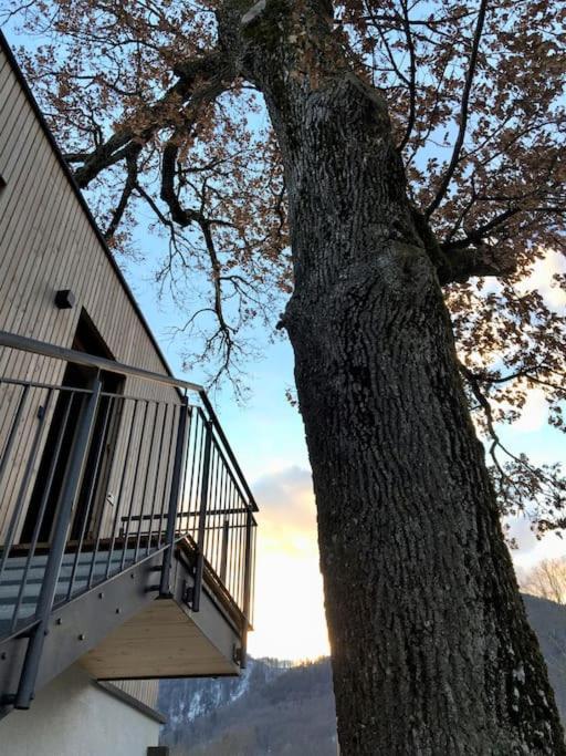 Apartamento Kampenzeit Loft Mit Traumhaftem Panoramablick Aschau im Chiemgau Exterior foto